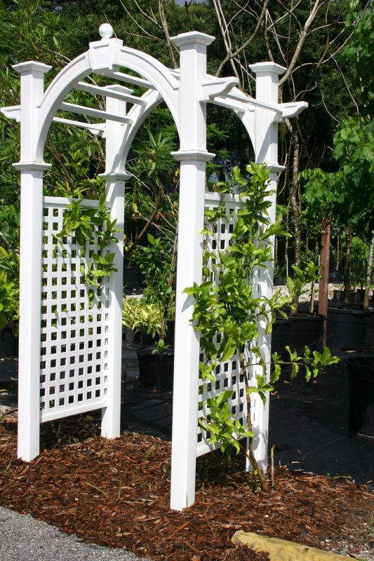 Lattice Arbor Installation in Conroe, TX