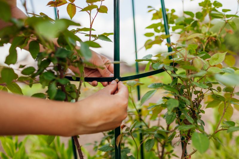 Fence Trellis Installation in Wilmington, NC
