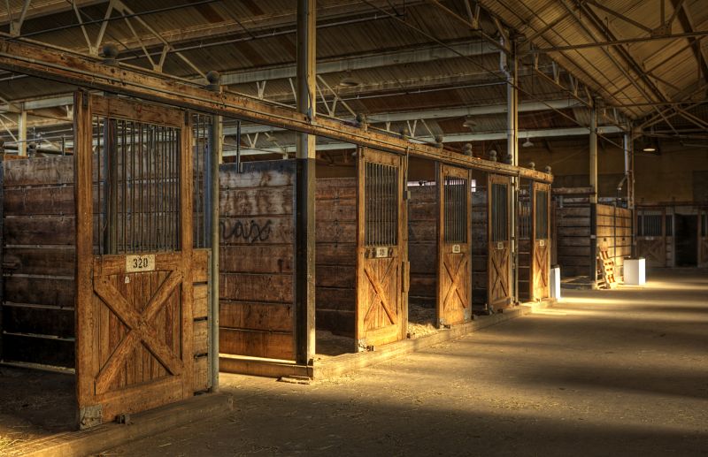 Horse Shelter Construction in Wilmington, NC
