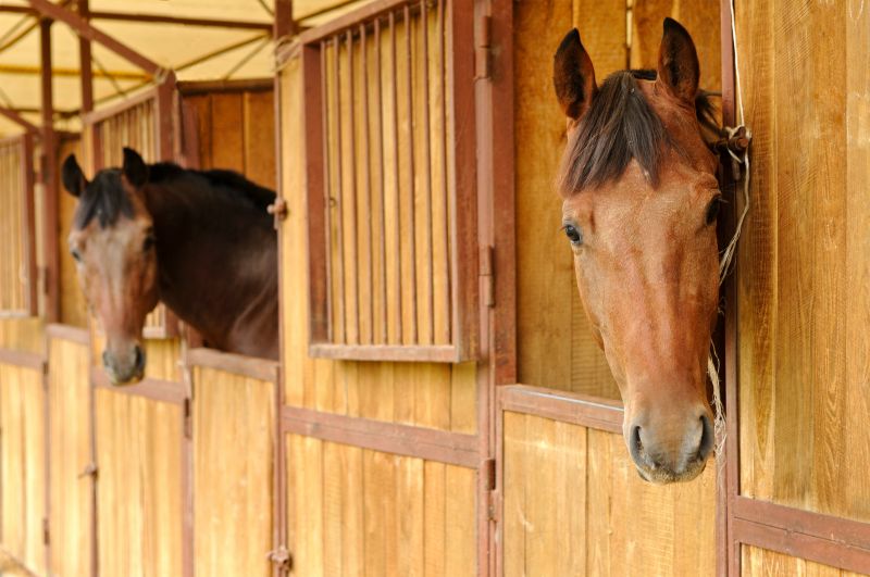 Horse Stall Repair in Overland Park, KS