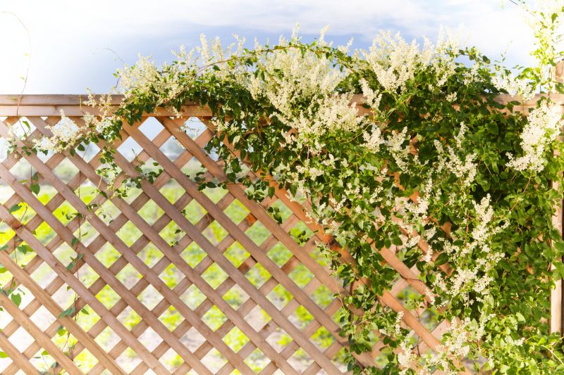 Rose Trellis Installation in Conroe, TX