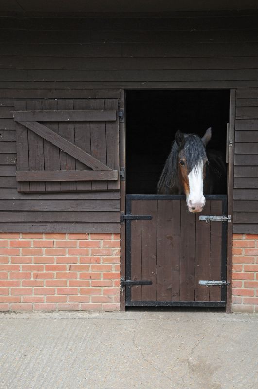 Stable Repair in Wilmington, NC