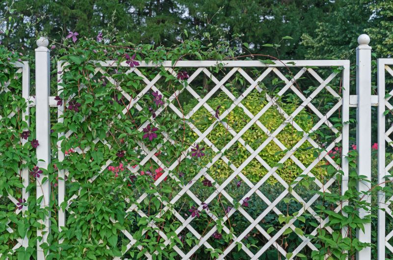 Vineyard Trellis Installation in Wilmington, NC
