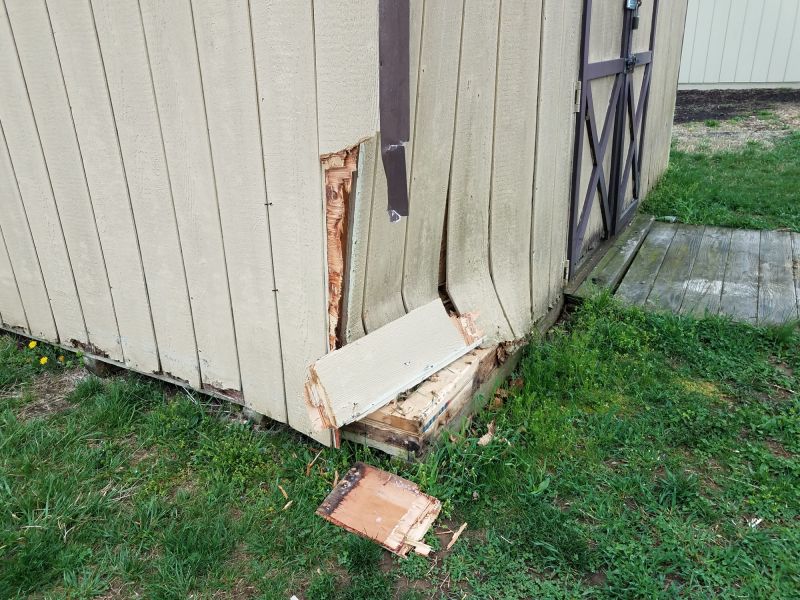 Wood Shed Repair in Wilmington, NC